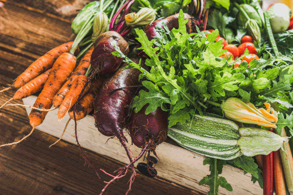 Harvested carrots, beets, tomatoes, and other fresh vegetables