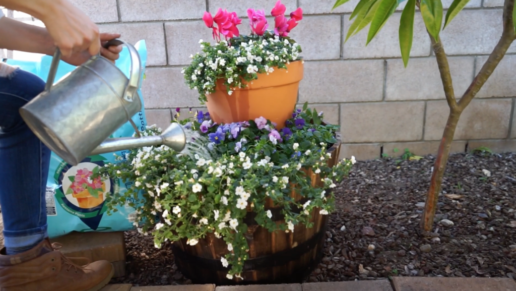 A woman using a watering can to pour water on a whiskey/wine barrel that is filled with white, purple, and pink flowers