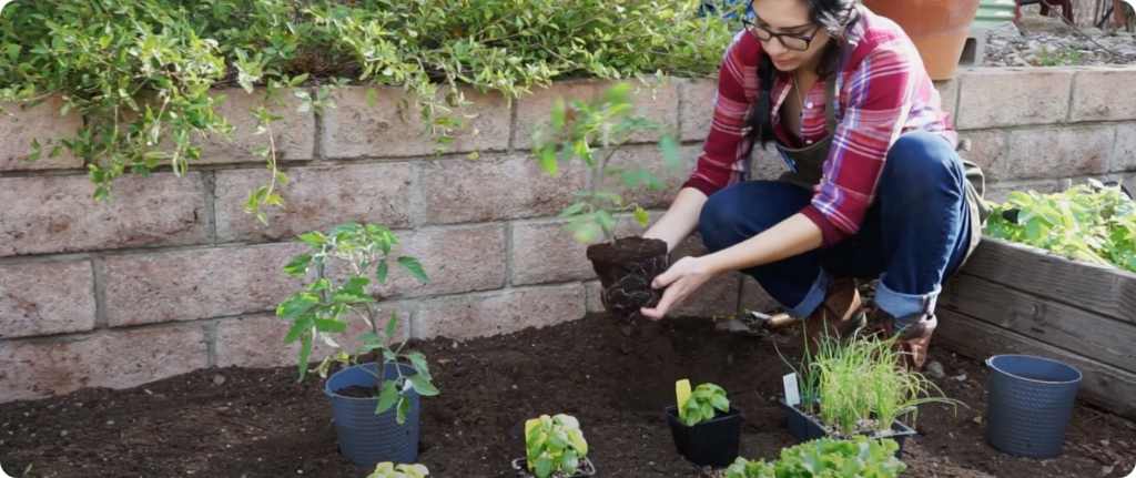 Build an In-Ground Vegetable Garden