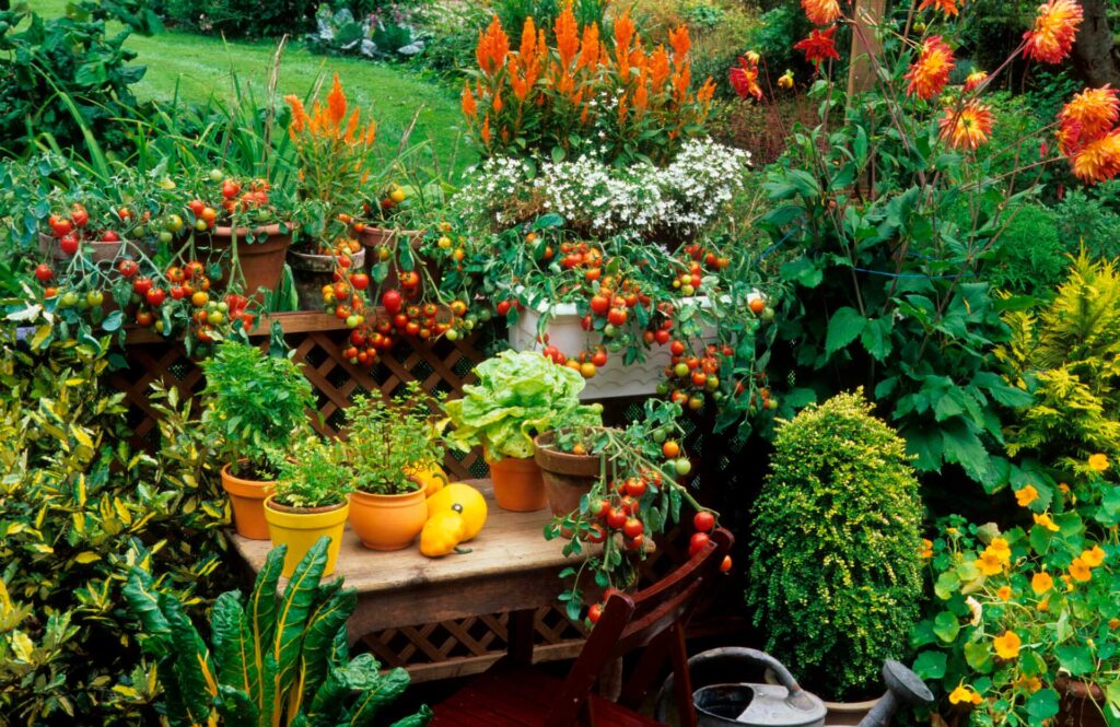 Garden Patio Ideas